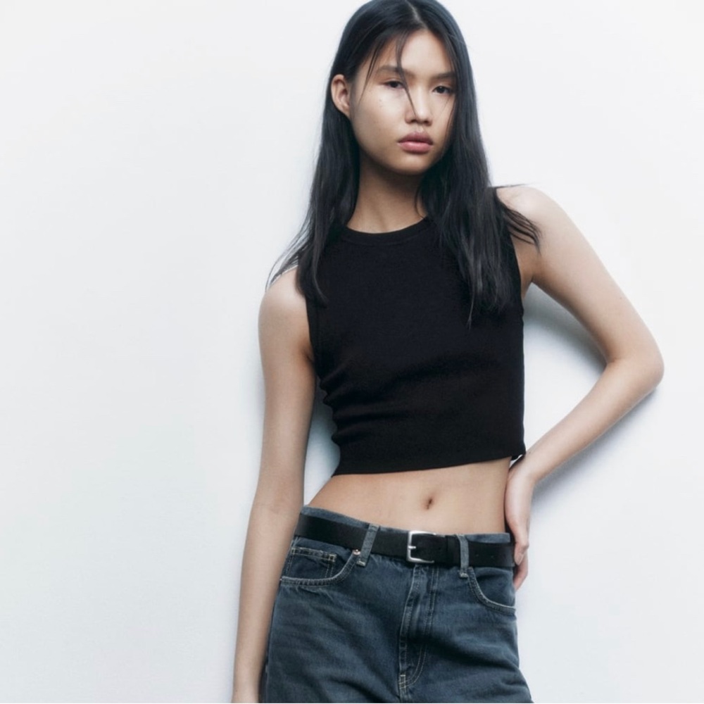 Zara cropped knit top